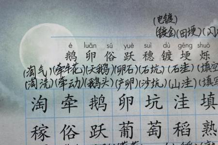 挺身的挺怎么组词