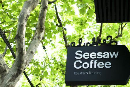 seesaw同类词