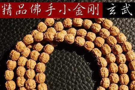 佛手小金刚和盘龙小金刚哪个好