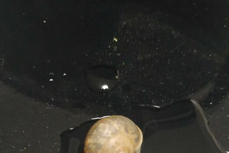 蜗牛一分钟能走多少米