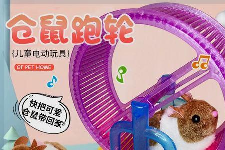 碧乐淘淘是什么