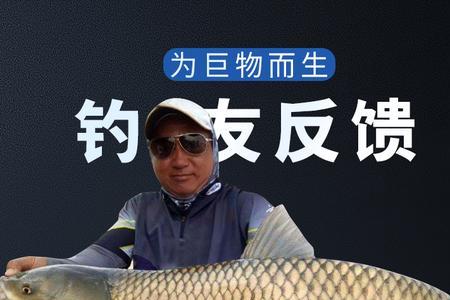 青鱼线组要多大的pe线