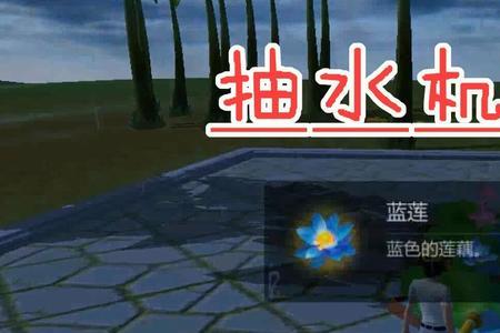 创造与魔法蓝莲种子能出多少