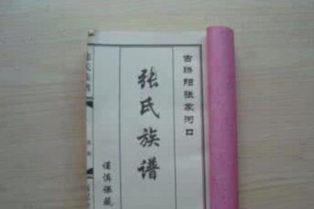 字氏一般都是什么族