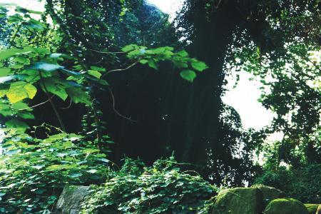 出四川的五条古道