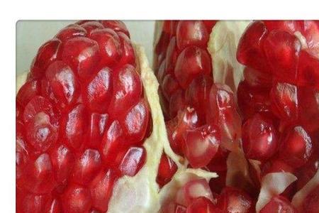 河北都有哪些石榴品种