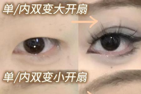 两个内双叫什么眼