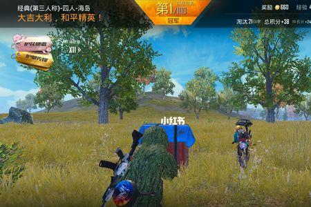 和平精英画面有条纹