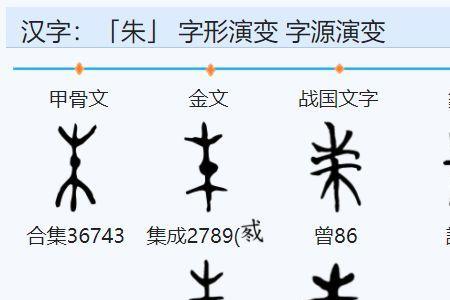 朱的部首是什么