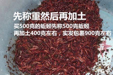 蚯蚓可以放在空调间吗