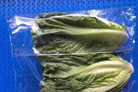 快递纸箱拿来种植蔬菜怎么样