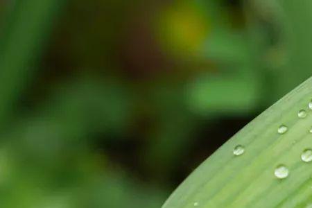 阴晴雨的意思是
