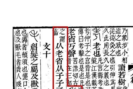见丧有孝是啥意思