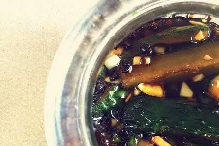 腌黄瓜能冷冻吗