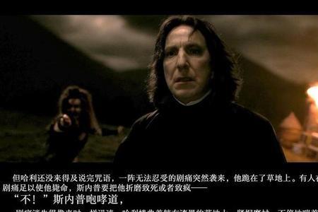 哈利波特巨螺壳怎么获得
