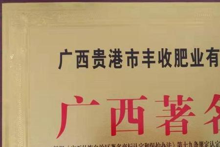 广西贵港注册公司网上注册流程