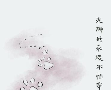 一辈子不穿鞋的生肖