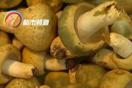 为什么刚吃野生菌没死
