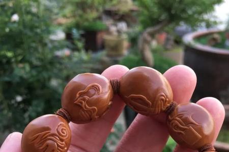 核壁珠能盘红吗