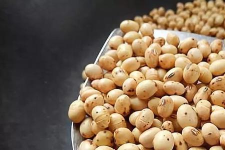黄豆放久了有哈喇味怎么去
