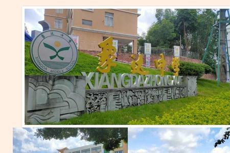 深圳沙湾中学有高中吗