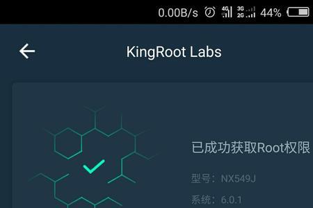root形容词