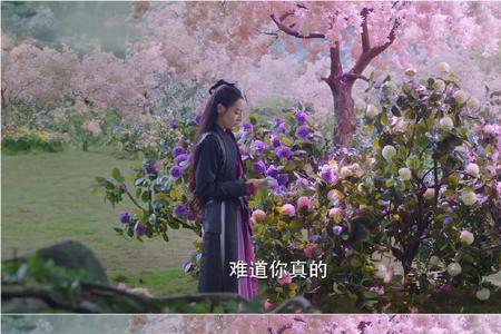 长意第几集离开万花谷