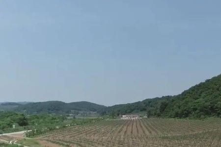 家里的果林属于耕地么