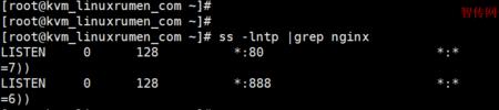linux系统中如何查看进程号