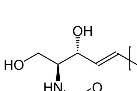 氨基酰胺是什么