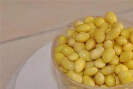 黄豆泡多了可以冷冻保存吗