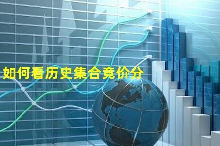 如何查看历史竞价