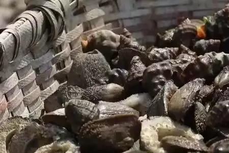 螃蟹藤壶不清理能吃吗