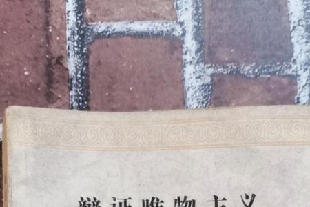 辩证唯物主义适用性