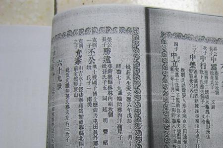 杨氏分为几支