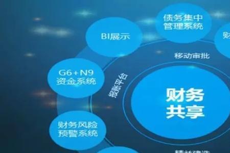 制造业财务共享的特点