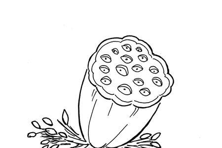 勾线时擦花了怎么办