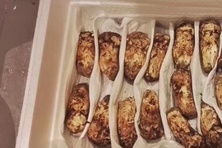 松茸为什么用棍撬而不能挖
