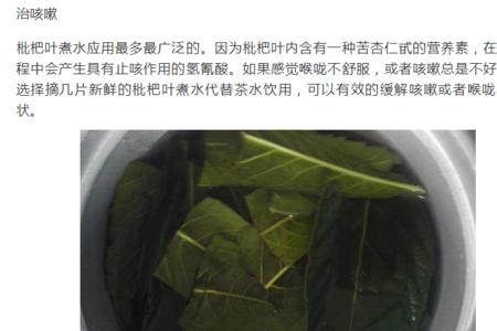 枇杷叶怎么保存