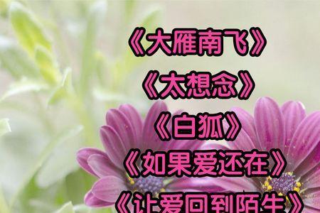 王馨唱的大雁南飞是哪一年的歌