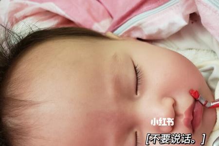小奥特曼幼崽拍摄时间顺序