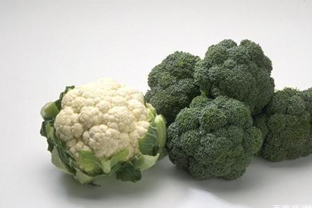 西兰花和菜花的叶子的区别