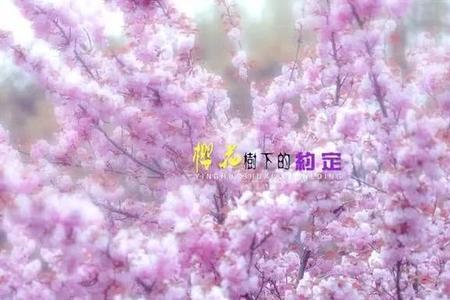 累世情缘是什么意思