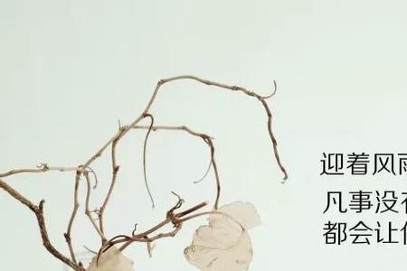 努力向上的意思是什么