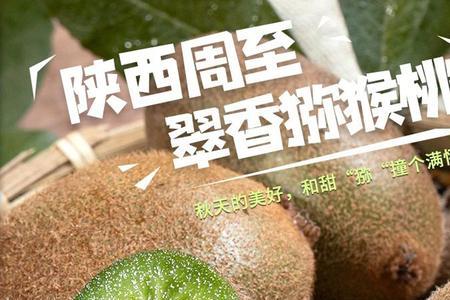 翠香猕猴桃怎么上色快