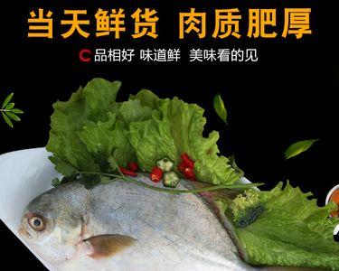 如何挑选新鲜的金鲳鱼