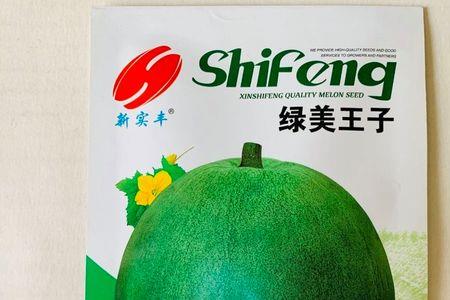 绿宝甜瓜亩产