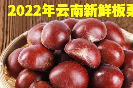 长沙望城摘板栗地方