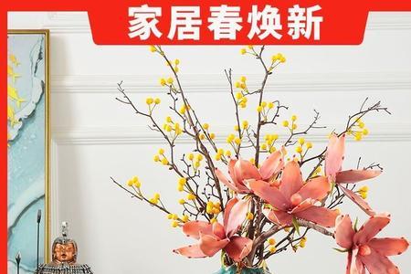 电视柜放什么干花好看
