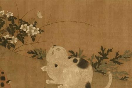雍正的猫叫什么